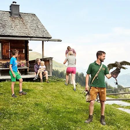 Hochalmbahnen 10w2, Holunder, Nahe Gondel *