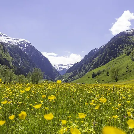 Hochalmbahnen Chalets 10W2, Holunder, Nahe Gondel Lägenhet Rauris