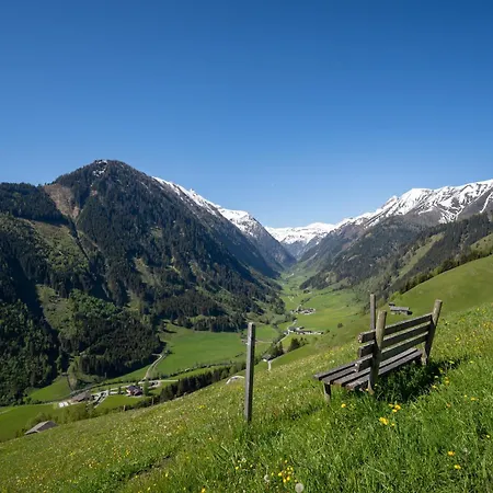 Hochalmbahnen 10w2, Holunder, Nahe Gondel *