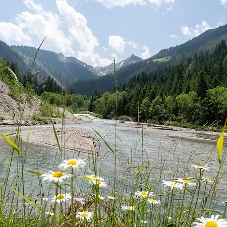 Hochalmbahnen 10w2, Holunder, Nahe Gondel *