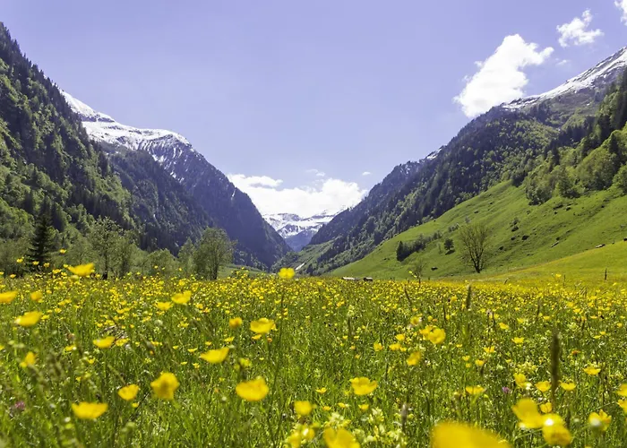 Hochalmbahnen Chalets 10W2, Holunder, Nahe Gondel Lägenhet Rauris