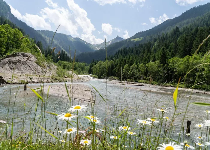 Hochalmbahnen Chalets 10W2, Holunder, Nahe Gondel *